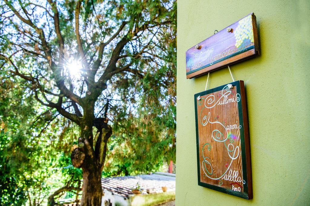 Acasamia Resort San Cipriano Picentino Εξωτερικό φωτογραφία